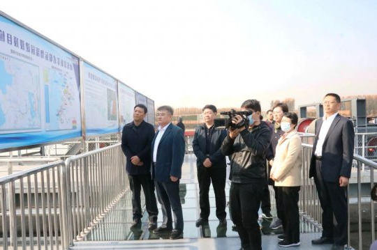 全市国资系统观摩团到济矿物流观摩指导