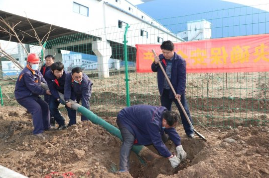 3·12植树节丨济宁能源志愿者服务队在行动