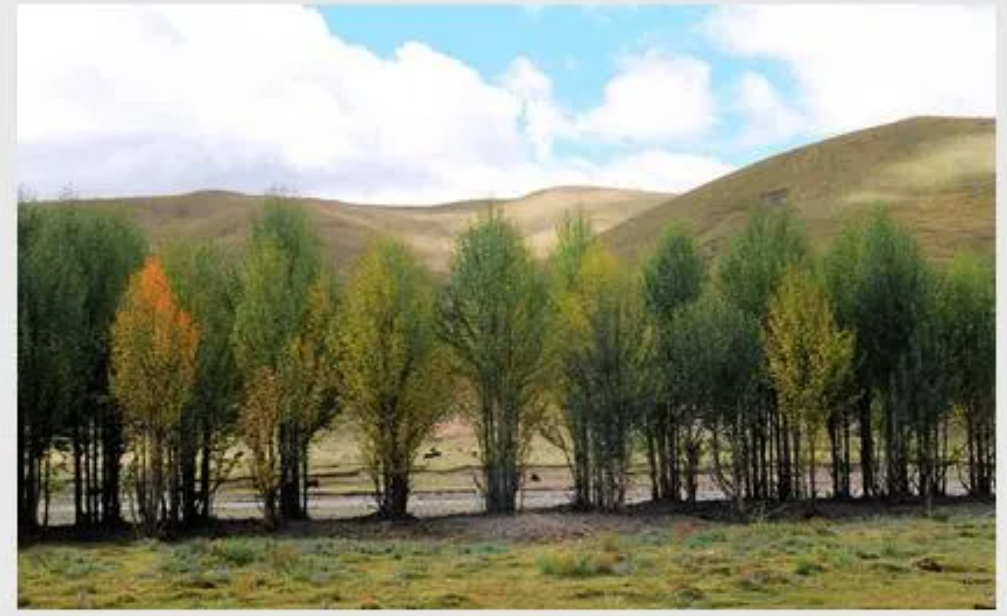 1636083043430299.png 微信截图_20211105112909.png