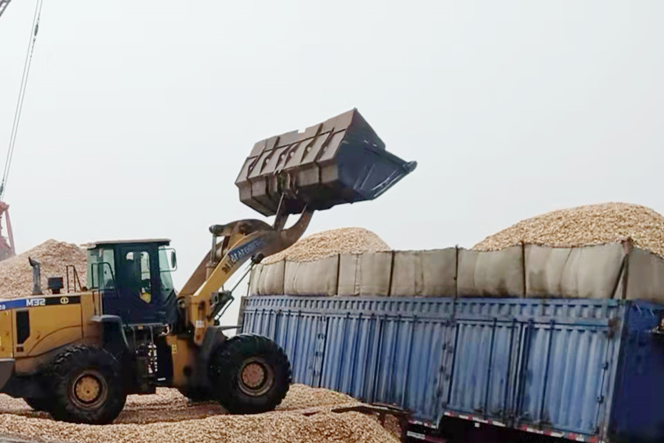 太平港-太平港新木片抓斗成功试运行（张冬宁） (1).jpg