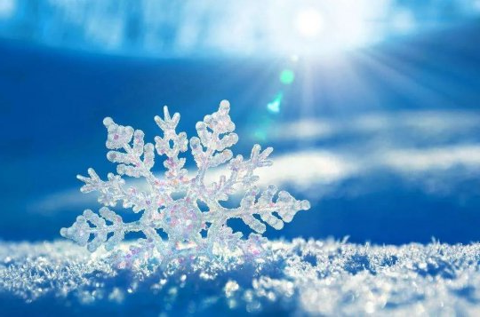 读董事长荐文有感丨做最闪耀的雪花