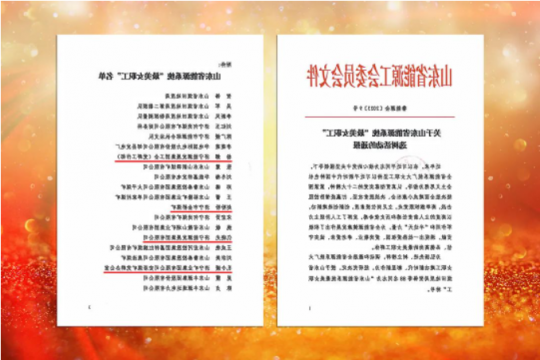 喜讯丨济宁能源四名女职工荣获“山东省能源系统最美女职工”称号