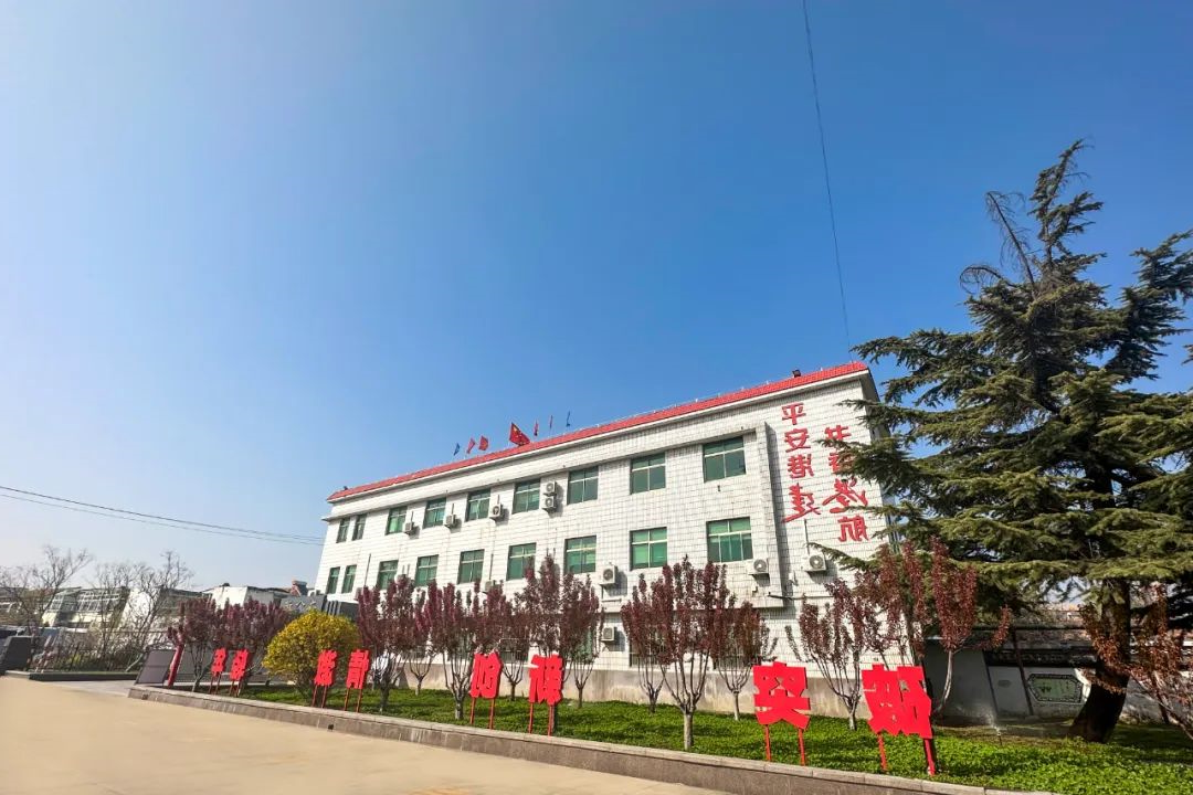 1735733481708001.jpg 0005.jpg