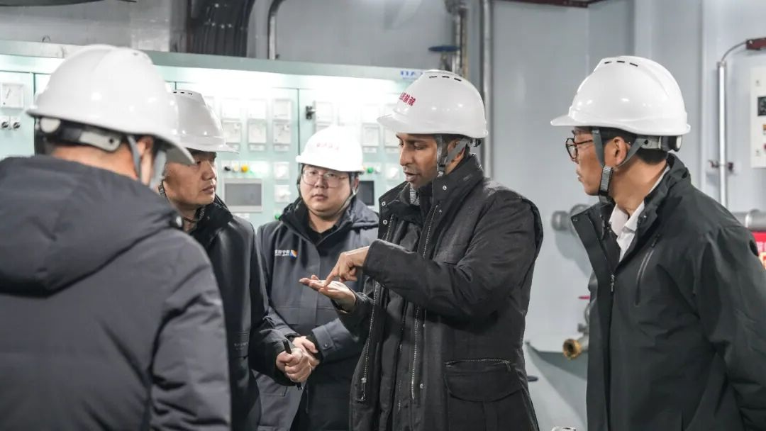 1768525344381691.jpg 04.jpg